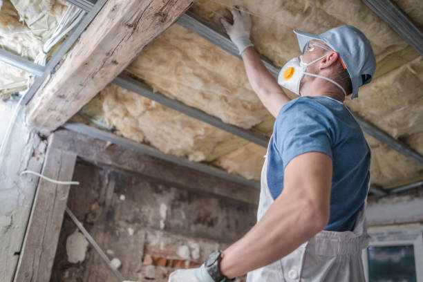 Best Spray Foam Insulation in Douglas, AL
