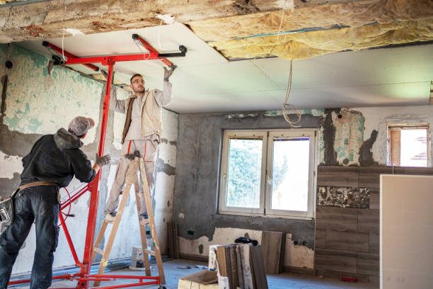 Best Insulation Maintenance and Repair in Douglas, AL