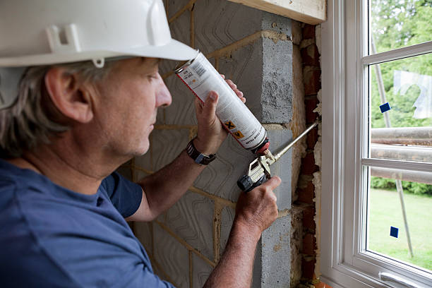 Best Blown-in Insulation in Douglas, AL