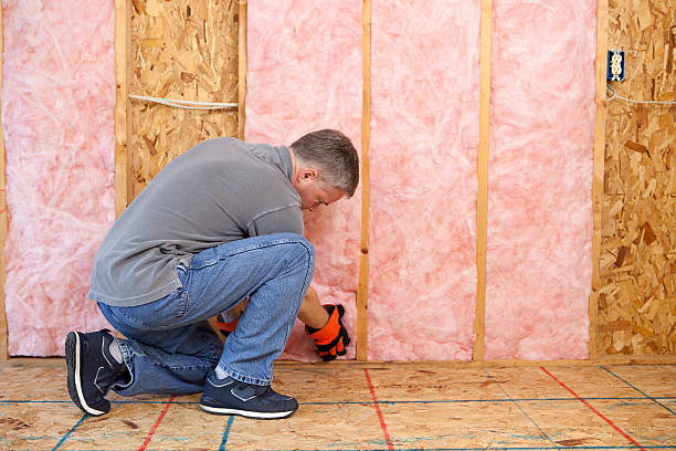 Types of Insulation We Offer in Douglas, AL