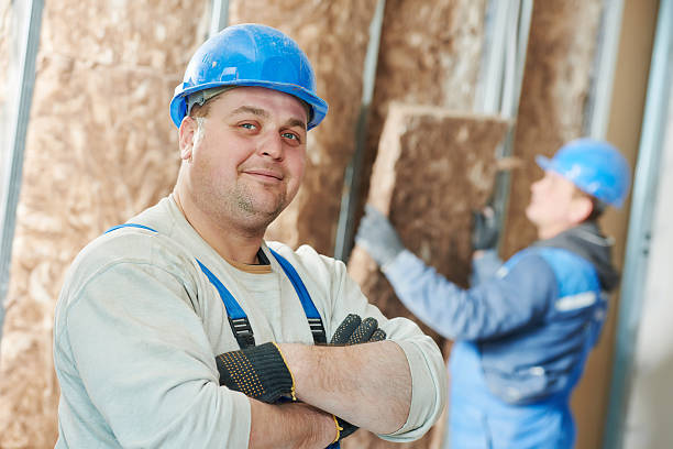 Best Cellulose Insulation in Douglas, AL